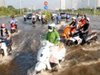 TP.HCM: Thành bại của phát triển đô thị phụ thuộc vào công tác đối phó với biến đổi khí hậu