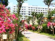 JLL khuyến nghị phản ứng "ngay lập tức" với doanh nghiệp bất động sản