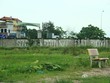 Chuyên gia Savills đưa ra 2 giải pháp để cắt sốt đất