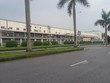 Bất chấp Covid-19, bất động sản công nghiệp vẫn “hot”