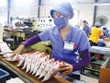 “Vua mì” Miliket và cái giá của việc “ngủ quên trên chiến thắng“