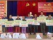 Tập đoàn NovaLand trao tặng 20 con bò giống cho hộ gia đình khó khăn tại Long An