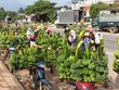 Bộ Nông nghiệp thành lập cơ quan giúp 'giải cứu' nông sản