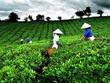 Cổ phiếu cần quan tâm ngày 3/7