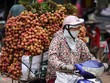 Tiểu thương 'hét giá' vải đầu mùa 90.000 đồng/kg