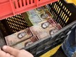 Venezuela chính thức thừa nhận nền kinh tế sụp đổ