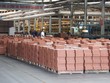 Viglacera Hạ Long (VHL) dự kiến chia cổ tức năm 2020, tỷ lệ 22%