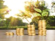 Nhận định thị trường phiên giao dịch chứng khoán ngày 1/9: Chốt lời dần nhóm smallcap