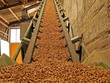 Kon Tum cấp chủ trương đầu tư dự án sản xuất viên nén năng lượng từ gỗ rừng trồng