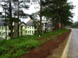 Đấu giá lựa chọn nhà đầu tư dự án Khu nhà ở liền kề tại Măng Đen - Kon Tum