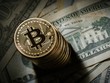 Giá Bitcoin sẽ ổn định trong ngưỡng 10.000 - 14.000 USD