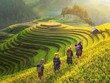 Việt Nam vẫn được các quỹ đầu tư “yêu thương”
