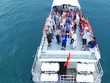 Cổ phiếu cần quan tâm ngày 28/12