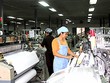 Chậm đăng ký giao dịch, niêm yết chứng khoán, Dệt may Nam Định bị phạt 200 triệu đồng