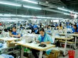 Thêm 1 cá nhân bị phạt 550 triệu đồng vì sử dụng 24 tài khoản thao túng cổ phiếu MPT