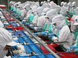 Năm 2018, Thủy sản Minh Phú (MPC) đạt hơn 750 triệu USD doanh thu xuất khẩu