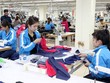 Tháng 1/2019, lợi nhuận sau thuế TNG đạt gần 20 tỷ đồng