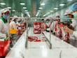 PAN Group (PAN) phát hành hơn 43 triệu cổ phiếu thưởng, tỷ lệ 25%