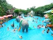 Công viên nước Đầm Sen (DSN) trả cổ tức đợt cuối năm 2019 bằng tiền, tỷ lệ 24%