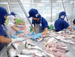 Nam Việt (ANV) chi hơn 127 tỷ đồng tạm ứng cổ tức đợt 1/2019
