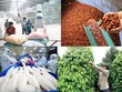 Xuất khẩu nông, thủy sản và nhiên liệu khoáng sản sụt giảm mạnh nhất trong 8 tháng