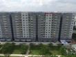 Năm 2021, Tanimex (TIX) đặt kế hoạch doanh thu, lợi nhuận tăng trưởng 13%