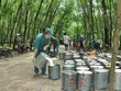 Cổ phiếu cần quan tâm ngày 27/4