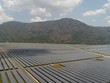 Sự chọn lọc nghiệt ngã của tự nhiên