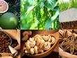 Thị trường hàng hóa tuần từ 30/9 – 4/10: Điểm nhấn nông sản