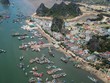 Quảng Ninh tìm chủ đầu tư cho dự án khu dân cư hơn 812 tỷ đồng tại Vân Đồn