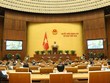 Sáng nay (22/10), Chính phủ trình Quốc hội Luật Kinh doanh bảo hiểm sửa đổi