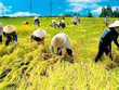 Cơ cấu lại nền kinh tế: Góc nhìn từ những nguồn lực bị đánh mất - Bài 1