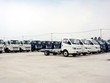Ế nặng hàng vạn chiếc: Bán giá chát, buôn ô tô nguy cơ phá sản