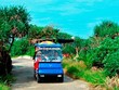 Đề án đưa 150 xe điện ra đảo Lý Sơn khiến người dân lo mất việc làm