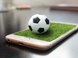 Mỹ khuyên khách đến Nga xem World Cup cất điện thoại ở nhà