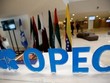 Ấn Độ, Trung Quốc đàm phán thành lập khối đối trọng với OPEC