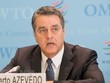 WTO: Chủ nghĩa bảo hộ gây phương hại lớn đến kinh tế toàn cầu