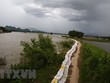 Nước sông Bùi đã rút, không có tuyến đê nào bị vỡ
