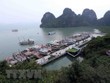 Điều chỉnh các Quy hoạch chung thành phố Hạ Long và Thái Nguyên