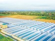 The PAN Group và hành trình tạo dựng giá trị bền vững