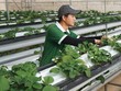 Gỡ khó đầu tư nông nghiệp 4.0