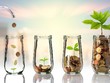 Cách làm giàu như những triệu phú Mỹ