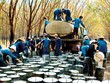 Quý I/2021, Cao su Tây Ninh (TRC) báo doanh thu tăng 94%, lợi nhuận chỉ tăng 14,2%
