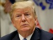 Ông Trump: Tôi làm việc nhiều giờ hơn hầu hết các tổng thống tiền nhiệm