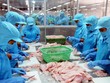 Vĩnh Hoàn (VHC) và Nam Việt (ANV) bị áp thuế 0,09 USD/kg khi xuất khẩu vào thị trường Mỹ