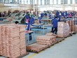 Cổ phiếu cần quan tâm ngày 17/11