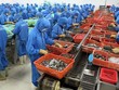 Trung Quốc phá giá Nhân dân tệ, hậu quả đầu tiên dồn xuống Việt Nam