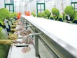 Thương chiến Mỹ - Trung: Khó khăn đã ngấm tới doanh nghiệp nội