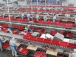 Công ty Mỹ rời đi, doanh nghiệp Trung Quốc sẽ ra sao?