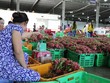 Thanh long, dừa tăng giá trở lại
